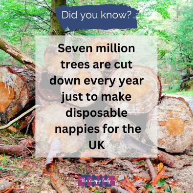 Seven million trees are cut down every year just to make disposable  nappies for the UK
